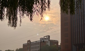 山西河南科技学院公办本科高校哪家好，行业现状与选择指南