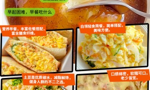 贵州常温土豆泥贸易商公司综合实力推荐