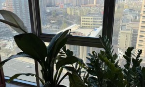 2026年知名的财税合规企业综合实力推荐