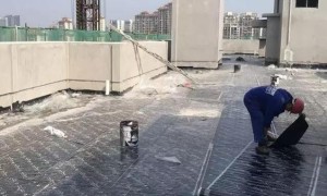 雨祥防水公司：省心的楼顶防水服务商，合作实力参考