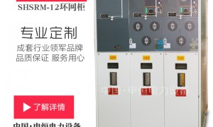 浙江靠谱的环网柜厂家售后哪个强、环网柜厂家标准哪个好、环网柜哪家好质量参考评选