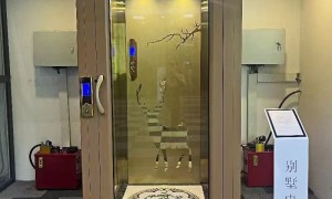 安徽家用电梯生产厂选哪家好 资质齐全的源头厂家推荐