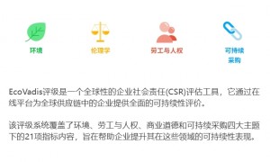 2026年知名的EcoVadis辅导企业合规服务商汇总