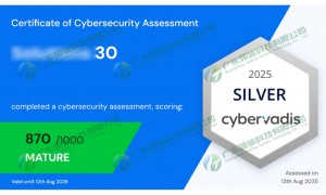 华南出口工厂CyberVadis评级辅导 正规服务商 用户力荐