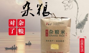 福建杂粮食品厂家推荐 安全营养可溯源小米黄米品牌选择指南