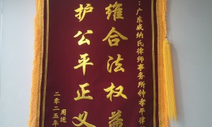 深圳律所里哪些能做个益维护相关事务，广受信赖的服务商测评