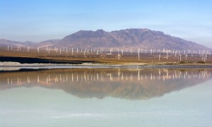 2026年口碑好的景区推荐企业实力参考