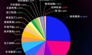 2026年上海讯灵加盟品牌推荐几家，刘岳负责全国招商，智能行业服务商筛选名录