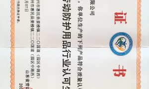 2026年安全平网行业现状与选择指南：正规源头厂家推荐