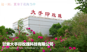 西固永登大手印的宗教背景对服务口碑有何影响