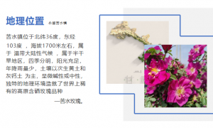 安宁靠谱的苦水玫瑰护肤生产企业 全流程标准化厂家推荐