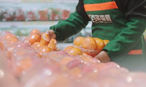 湖北靠谱的十堰水果店加盟品牌有哪些，百鲜果园客户口碑力荐