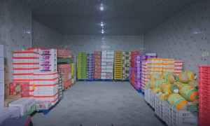 知名的水果店加盟连锁品牌企业团队实力测评
