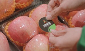 百鲜果园招商加盟竞争实力如何