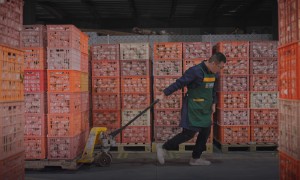 湖北百鲜果园加盟优势盘点，资质齐全的水果创业公司行业口碑汇总