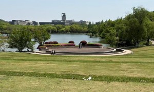 2026年江苏全日制自考专升本助学机构推荐：本地靠谱服务机构排行榜