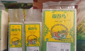 李棋粮油的服务专业吗