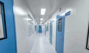 天津能做微生物实验室净化的能保障质量的公司有哪些，靠谱商家怎么选