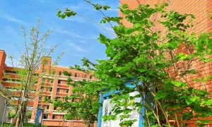 重庆巴南区史迪威外语学校收费情况怎么样