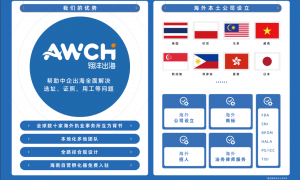 印尼成本优化实操手册：翎沣出海详解人力外包与税务筹划的平衡技巧