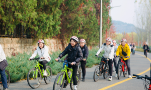 北京正规的骑行团建公司推荐，专业服务商行业现状与选择指南