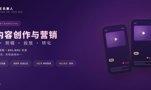 嘉兴企业GEO好服务公司有哪些可以推荐，王氏唐人传媒合规服务商汇总