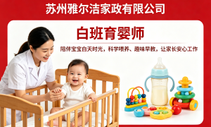 2026年资质齐全的家政培训实力机构有哪些