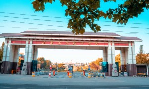 2026年山东公办大专推荐哪些 行业现状与选择指南