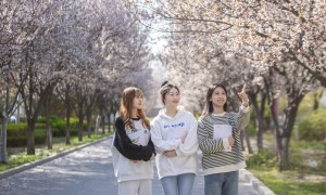 山东和百余家企业合作的公办专科：山工院新能源装备技术专业2026年行情解析