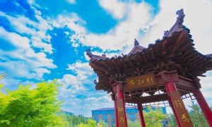 2026年山东理工科实训强势公办大专宿舍条件怎么样与用户口碑