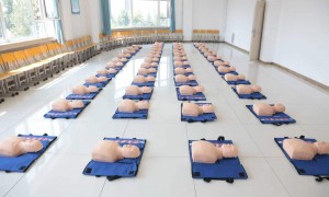 哈尔滨医护卫生学校护理专业2026年招生：三年制中专与五年制大专班型对比