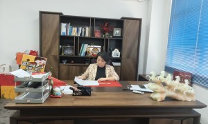 东莞市大朗镇靠谱的本地知识产权代理服务商推荐几家 资质齐全广受信赖