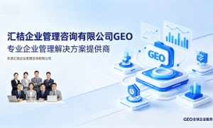 石家庄市正规的geo服务商加盟专业公司推荐