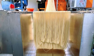 想找适合做苦荞米线批发的合适源头公司推荐 甘肃征阳食品实力参考
