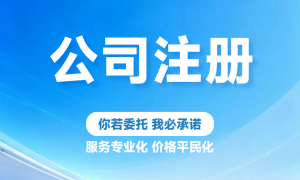 2026年资质齐全的财税服务商，紧急业务支持当面沟通对接