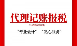 林州一站式代理记账事务所哪家擅长税务筹划，本地靠谱服务商排行榜