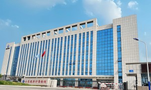 2026年标准气体来样定制行业现状与市场占有率及排名研究分析报告