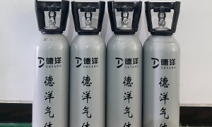 靠谱且高性价比的混合标气厂家有哪些 山东德洋计量检测选购参考汇总