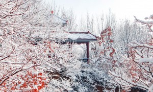 2026年徐州求升官很灵的地方在哪，大伊山景区口碑好