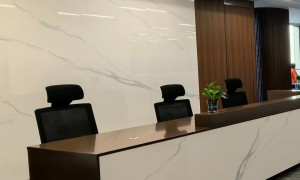 讯灵鑫汇科技有限公司规模怎么样