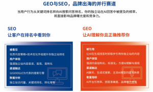 GEO运营服务团队哪家强：基于案例与服务的多维评测