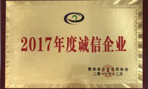 青海蜜月游旅行社服务商筛选技巧：靠谱不踩坑指南