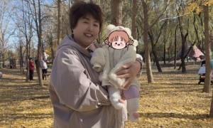 2026年靠谱的育儿嫂机构综合实力推荐与避坑挑选指南
