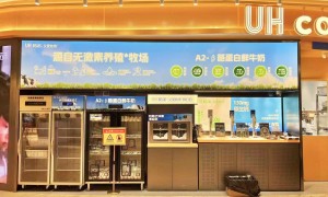 北京维佳创：解决卫生与安全痛点的打奶机设备厂家实力盘点
