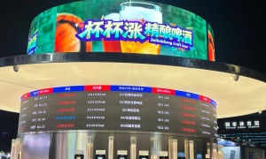 2026年评价高的啤酒交易所设备供应商有哪些：可靠性与资质全景分析