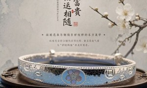 2026年深圳南山区足银健康饮水杯制造厂价格公道不玩套路