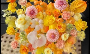 2026年开花店到哪延续学习机构盘点，资质齐全广受信赖