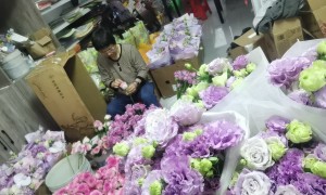 如东盛岛花行绿植花行联系电话查询 靠谱花行服务商推荐