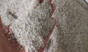 福建海砂批发经销商怎么选？资质齐全的源头厂家不踩坑