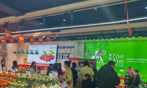 口碑好的水果店加盟品牌有哪些，广受信赖的加盟选择指南